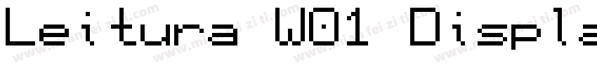 Leitura W01 Display Roman字体转换